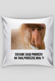 Poduszka "Ciekawe skąd..."