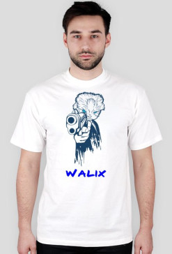 walix 420