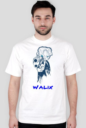 walix 420