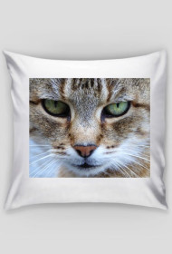 Poszewka na poduszkę KOT