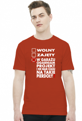 Wolny, Zajęty - Ogarniam Projekt (koszulka męska) jasna grafika