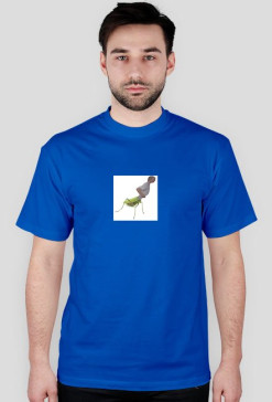 modliszka2