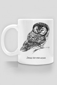 Magic owl