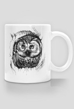Magic owl