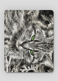 Podkładka pod mysz Kot z zielonymi oczami