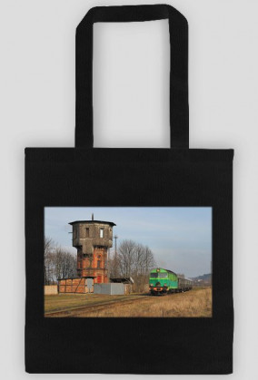 Torba na zakupy #40