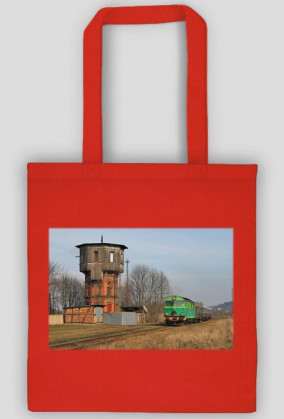 Torba na zakupy #40