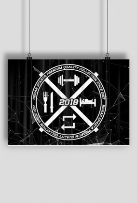 PLAKAT POZIOMY V0039-17