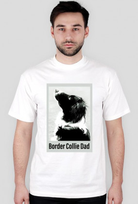 Border Collie Dad