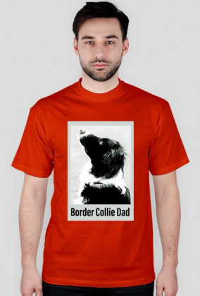 Border Collie Dad