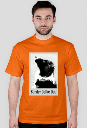 Border Collie Dad