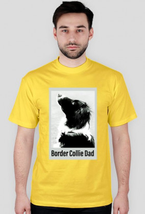 Border Collie Dad