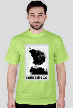 Border Collie Dad