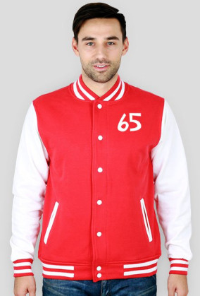 Bluza
