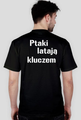 Ptaki
