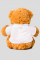 YSG teddy bear
