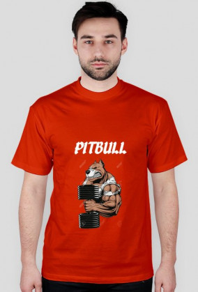 PITBULL