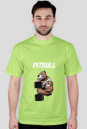 PITBULL