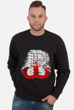 BLUZA POLSKA WALCZĄCA męska