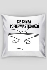 poduszka "chyba cię popierwiastkowało"