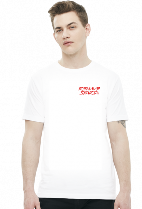 T-SHIRT MĘSKI V0045-1