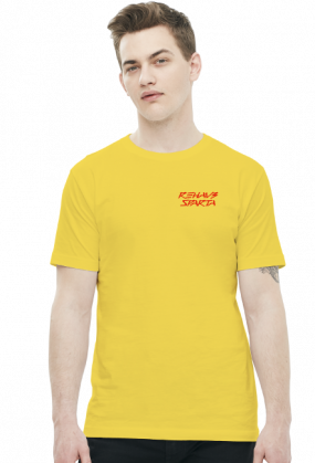 T-SHIRT MĘSKI V0045-1