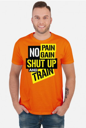 No pain no gain2_koszulka męska