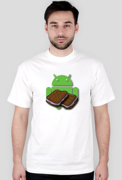 Ice Cream Sandwich