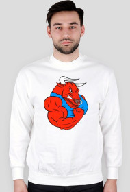 Bluza OSTATNI_NATURAL white