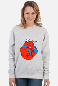 Bluza OSTATNI_NATURAL gray