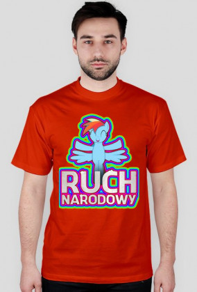 Ruch Narodowy - Sekcja Equestrii