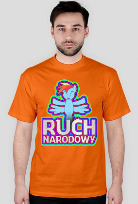 Ruch Narodowy - Sekcja Equestrii