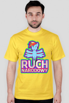 Ruch Narodowy - Sekcja Equestrii