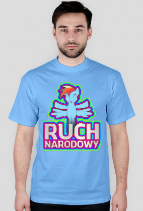 Ruch Narodowy - Sekcja Equestrii