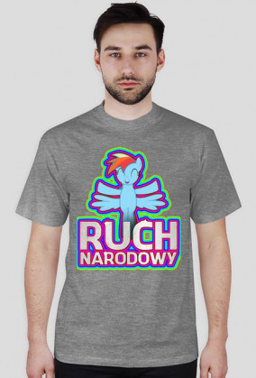 Ruch Narodowy - Sekcja Equestrii