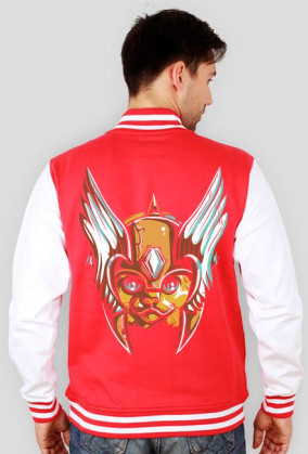 bluza