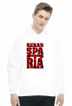 BLUZA Z KAPTUREM MĘSKA V0046-3
