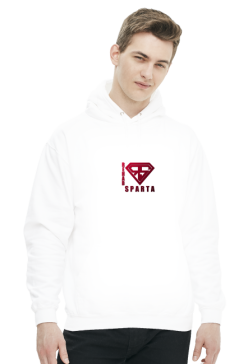 BLUZA Z KAPTUREM MĘSKA V0047-3