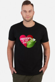 Dreams of Freedom