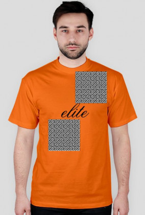 Elite Labirynth 2018