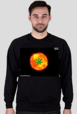 bluza