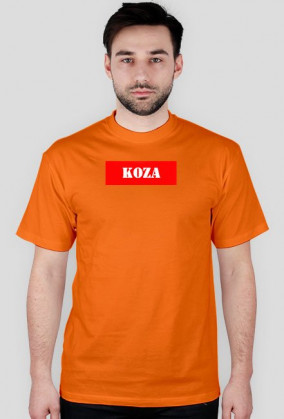 Koza