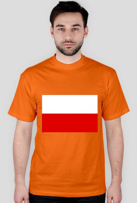 FUNPAL - KOSZULKA FLAGA PL męska