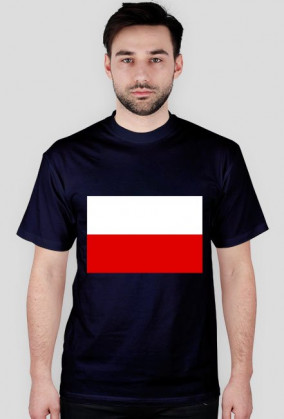 FUNPAL - KOSZULKA FLAGA PL męska