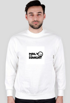 bluza