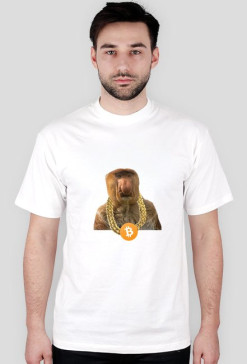 nosacz btc chain