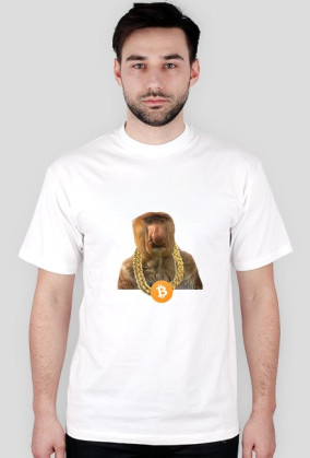nosacz btc chain