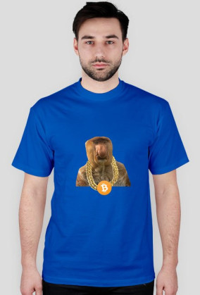 nosacz btc chain