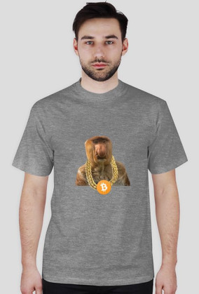 nosacz btc chain