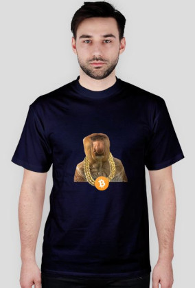 nosacz btc chain